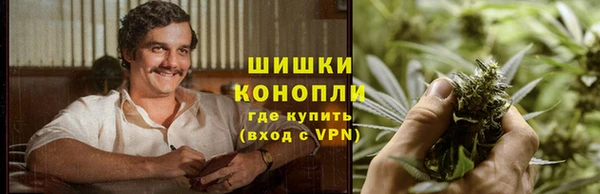 мет Гусев