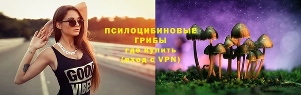 не бодяженный Гусиноозёрск