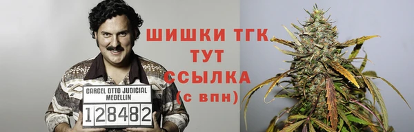 мет Гусев