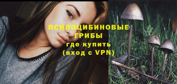 не бодяженный Гусиноозёрск