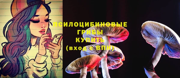 mdma Гусь-Хрустальный