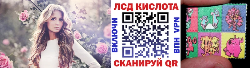 Купить  Котлас  Марки N-bome 1500мкг 