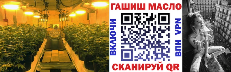 Купить закладки  Котлас  Дистиллят ТГК THC oil 