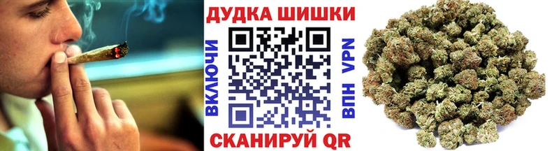 Бошки марихуана план  Купить  Котлас 